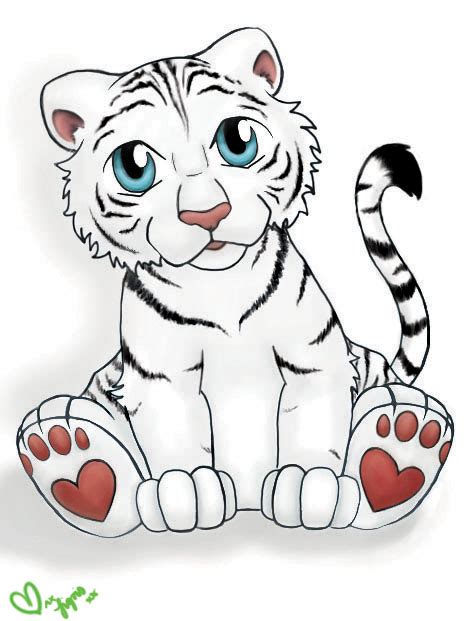 How To Draw White Tiger - Cliparts.co