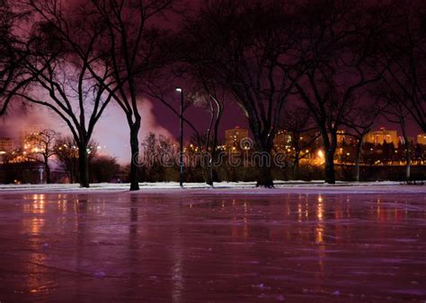 Ice Rink at Night stock image. Image of quality, sport - 25842011