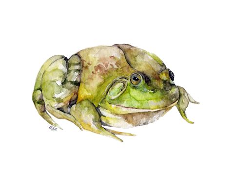 Frog Painting Print from Original Watercolor Painting