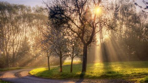 Morning Sunshine Wallpapers - Top Free Morning Sunshine Backgrounds ...