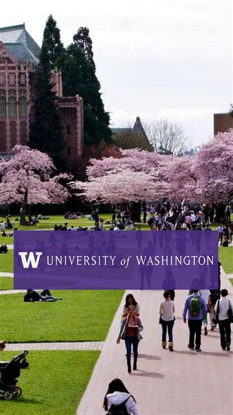 University of Washington Huskies | University of washington huskies ...