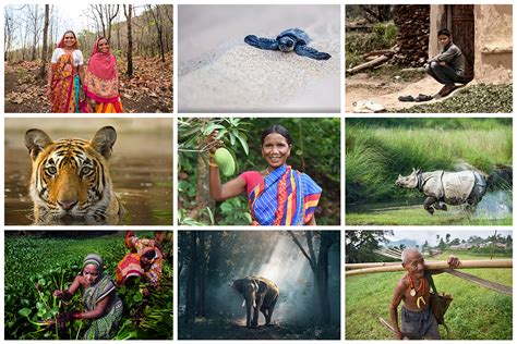 India Biodiversity Awards, 2018 | United Nations Development Programme