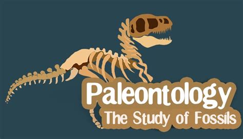 Paleontology - The study of Fossils - General Knowledge | Mocomi Kids