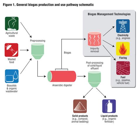 Evaluating Biogas Management Technologies - BioCycle BioCycle