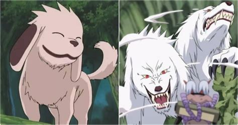 10 Adorable Anime Creatures That Are Secretly Horrifying