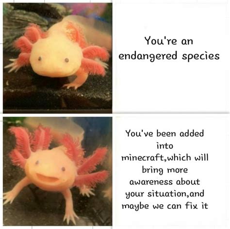 what do i put here | /r/MinecraftMemes | Axolotl | Know Your Meme