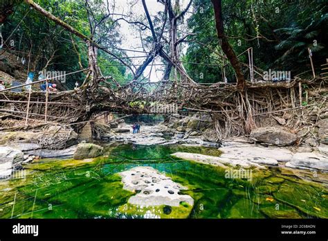 Mawlynnong living root bridge, Meghalaya, India, Asia Stock Photo - Alamy