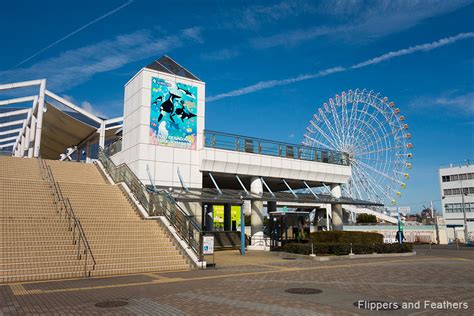 Facility Spotlight: Port of Nagoya Public Aquarium (Japan) | Flippers & Feathers