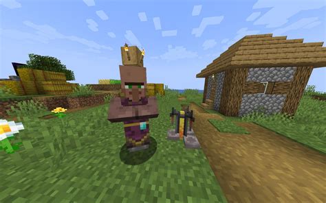 Cleric Villager Minecraft