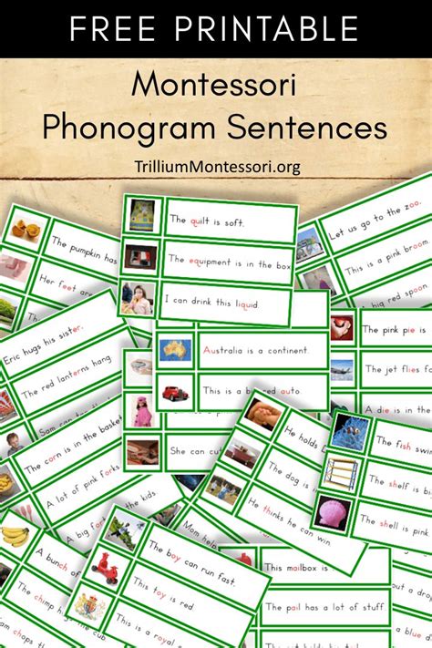 Free Montessori Printable Phonogram Sentences | Montessori lessons ...