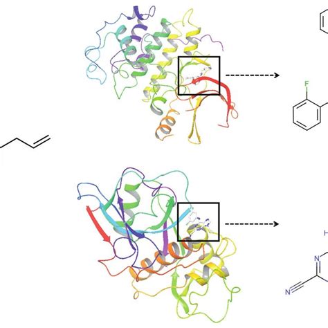 (a) Molecular structure of safrol. (b) Crystal structure of ...