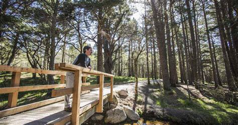 Glenmore Campsite in the Cairngorms