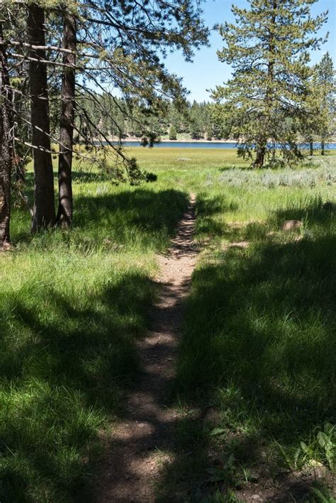 Approaching Prosser Creek Reservoir Stock Photo - Image of emigrant, prosser: 151253348