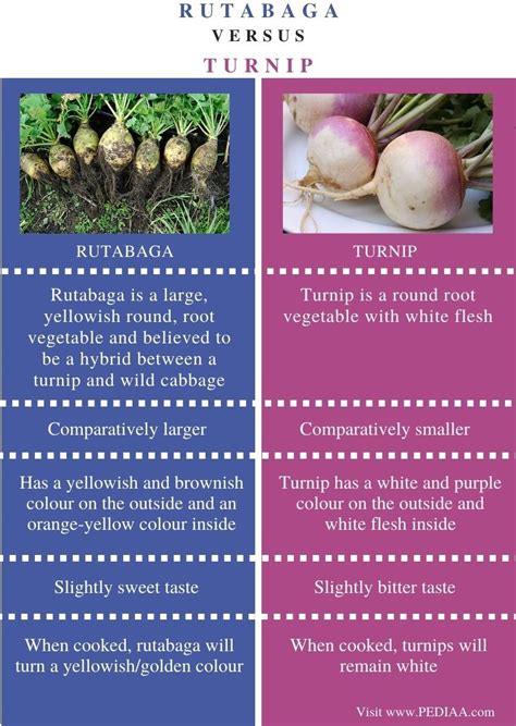 What is the Difference Between Rutabaga and Turnip - Pediaa.Com