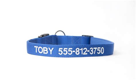 Personalized Dog Collars – Qualtry