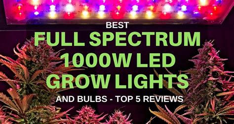 Best Cheap Full Spectrum LED Grow Lights 1000w Equivalent 2018