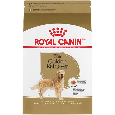 Best Dog Food Golden Retriever: Top Picks for Optimal Health - Everyday ...