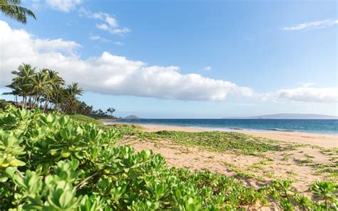 What to Know About Maui Weather - Engaged on Maui | Maui Proposal ...