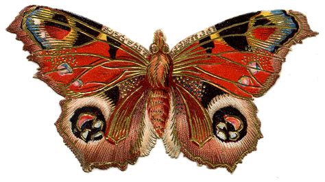 Victorian Graphic - Colorful Butterfly or Moth - The Graphics Fairy