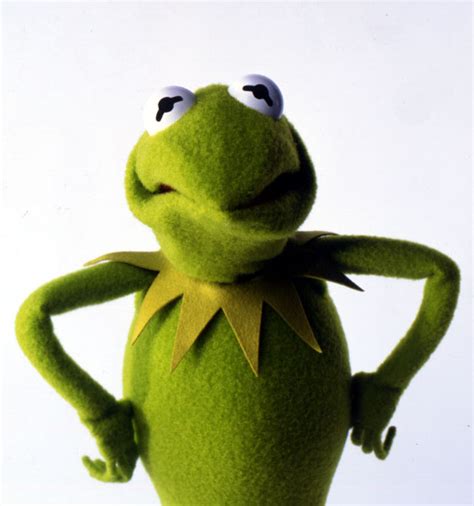 Kermit The Frog Angry Face