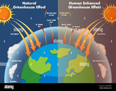 Diagram showing the greenhouse effect illustration Stock Vector Image ...