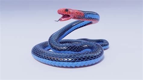 3D Blue Coral Snake - Static Poses - TurboSquid 2020566