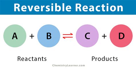 Reversible Reaction: Definition, Conditions, and Examples