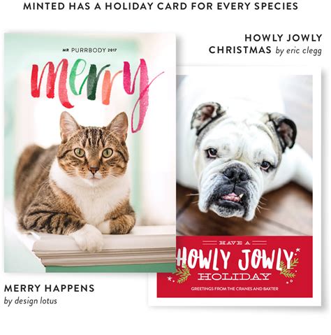 America's Pet Holiday Cards | Minted