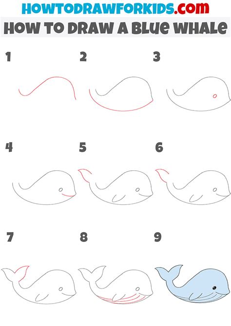 How to Draw a Blue Whale - Easy Drawing Tutorial For Kids