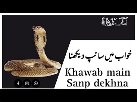 khawab main sanp / snake🐍dkhna ki tabeer | khawab ki tabeer | Khawab ...