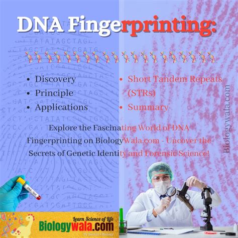 DNA Fingerprinting: 7 Critical Applications - Biologywala.com By ...