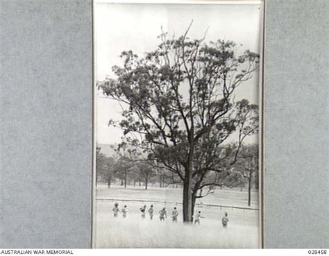 SINGLETON, AUSTRALIA. 1943-01. OBSERVERS WAITING TO GO INTO THE ...