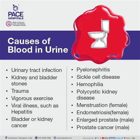 Blood in urine (Hematuria) - Causes, Symptoms and Treatment