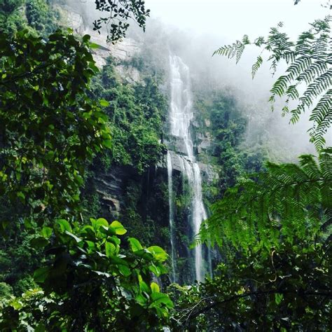 La Chorrera Waterfall outside Bogota | La chorrera, Waterfall, Natural park