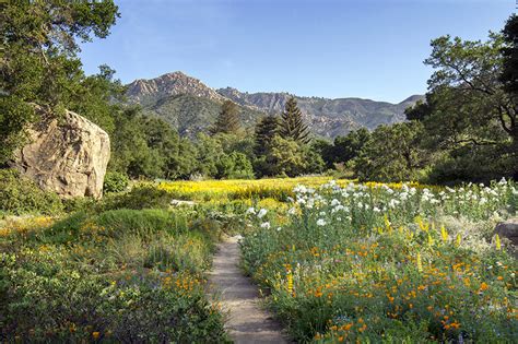 Santa Barbara Botanic Garden - Van Atta Associates - Santa Barbara ...