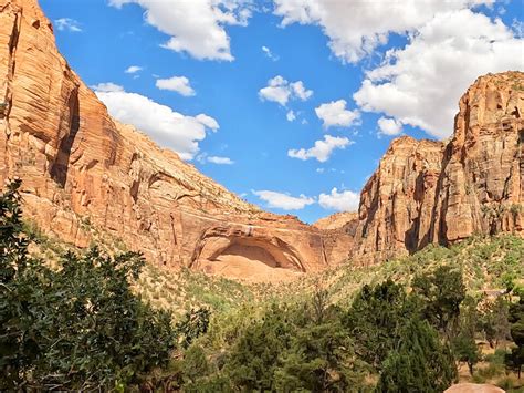 Canyon Overlook Trail Zion: Pics + Video (Underrated Hike You'll Love)