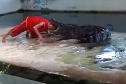 Disturbing video: Crocodile bites man's head as he voluntarily puts it in