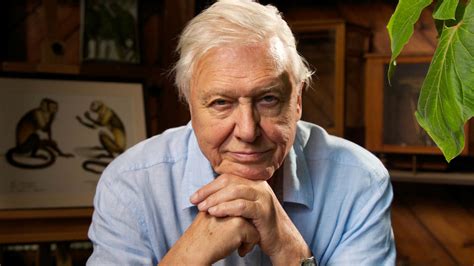 Celebrating the life of Sir David Attenborough | theluvvie