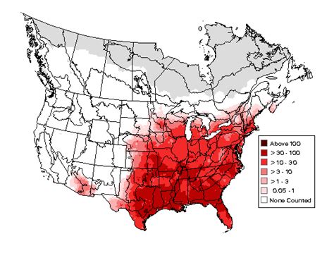 Northern Cardinal : Minnesota Breeding Bird Atlas