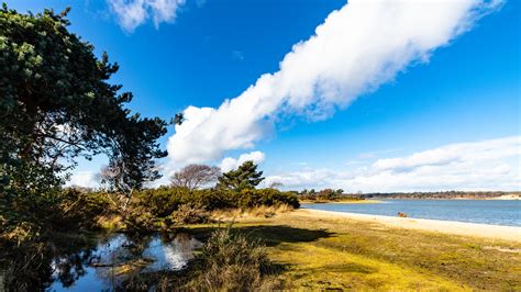 Studland Bay | School Trips Jurassic Coast | Cumulus Outdoors