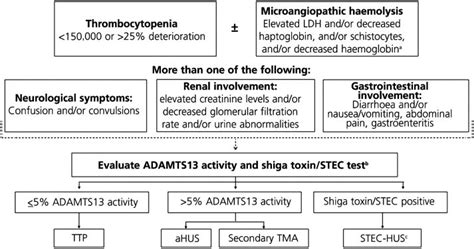 Atypical hemolytic uremic syndrome: from diagnosis to treatment