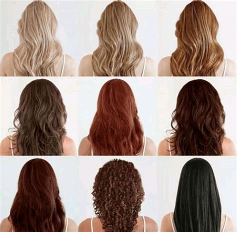 Natural Hair Dyes Brands – Top 10 Organic Hair Dye Brands | Organic hair color, Esalon hair ...