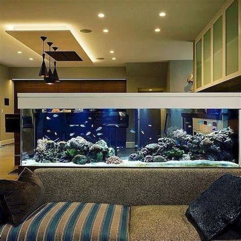 Wall Aquarium Decor Designs And Ideas in 2022 | Wall aquarium, Aquarium design, Home aquarium