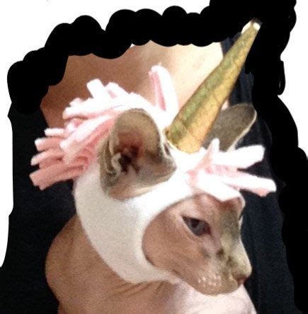 32 Halloween 2015 Sphynx Cat Costumes! ideas | cat costumes, sphynx cat ...