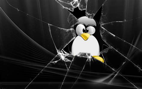 🔥 [40+] Tux Penguin Wallpapers | WallpaperSafari