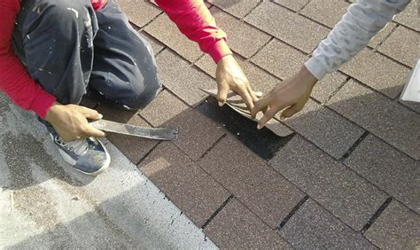 Asphalt Shingle Care: 7 Tips For Roof Longevity