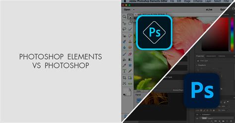 Adobe photoshop cc vs elements - agentfery