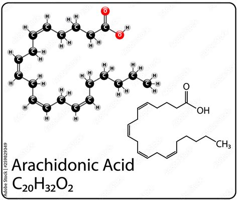 Arachidonic Acid Chemical Structure