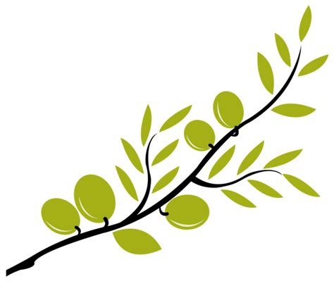 Images Of Olive Branches - ClipArt Best