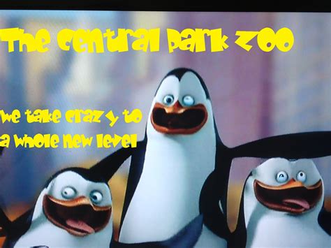 Central Park Zoo Advertisement - Penguins of Madagascar Photo (23118693 ...